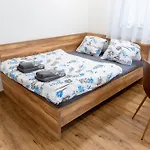 U Rybnika 게스트하우스 3*