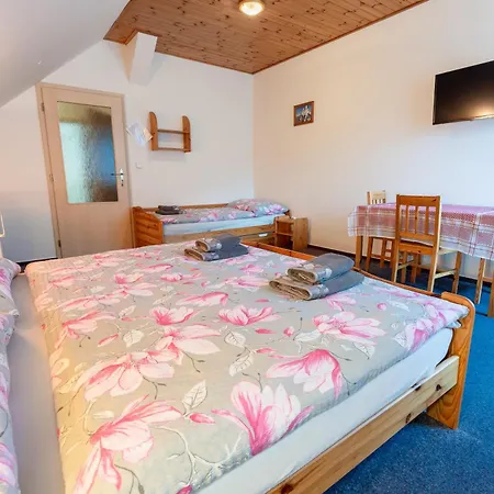 U Rybnika 3* Jindřichov