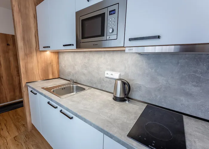 Pensionat U Rybnika 3*