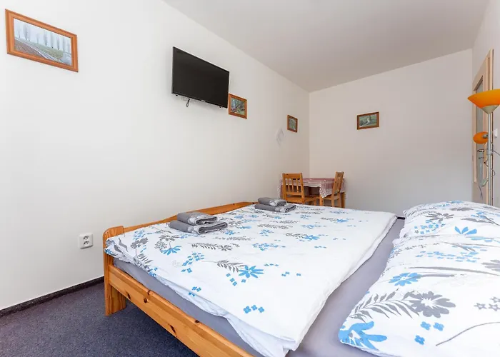 U Rybnika 3* Šumperk