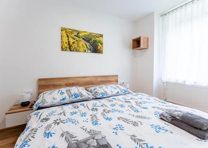U Rybnika Pensionat 3*